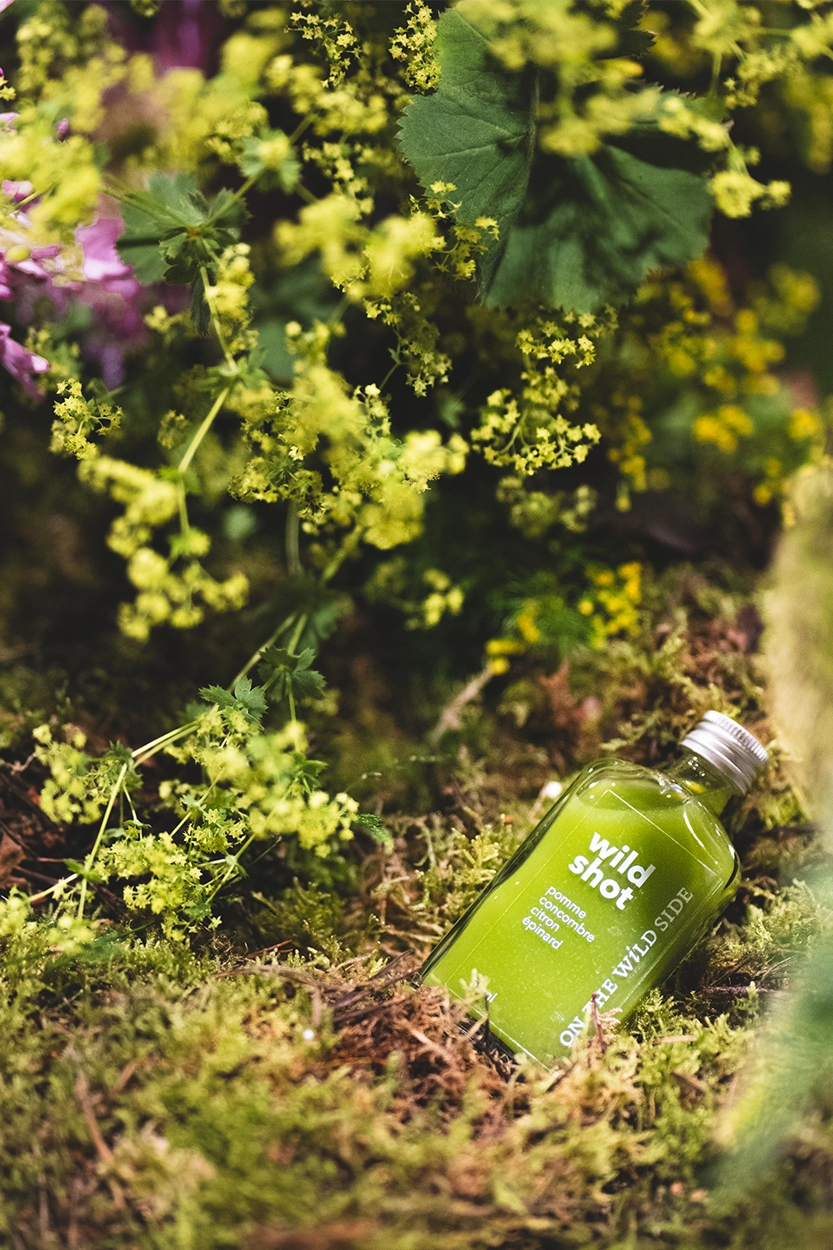 on-the-wild-side-marion-tesson-oscaretceleste-jus