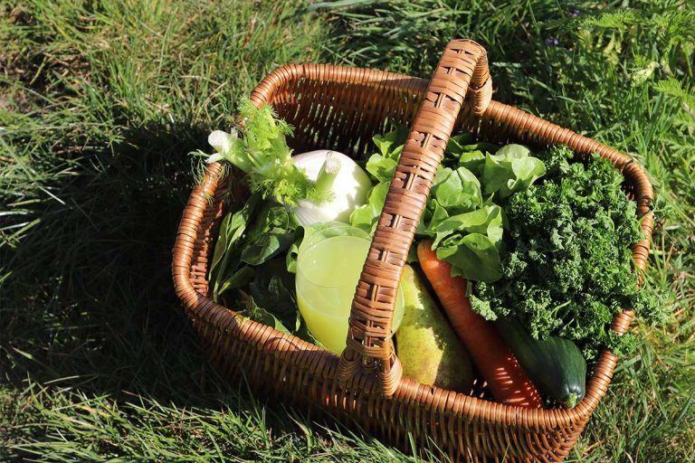 Jus vert au fenouil et au concombre – création Oscar & Céleste, mixologie végétale